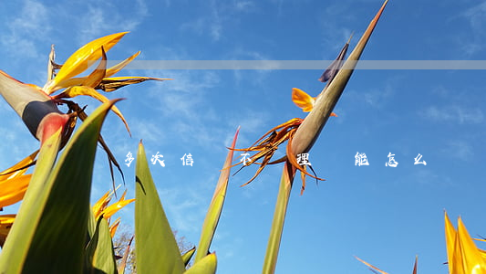  多次信訪不處理還能怎么辦？
